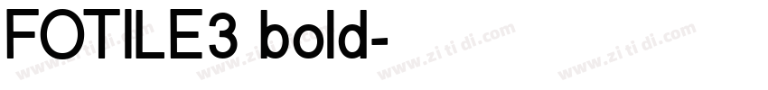 FOTILE3 bold字体转换